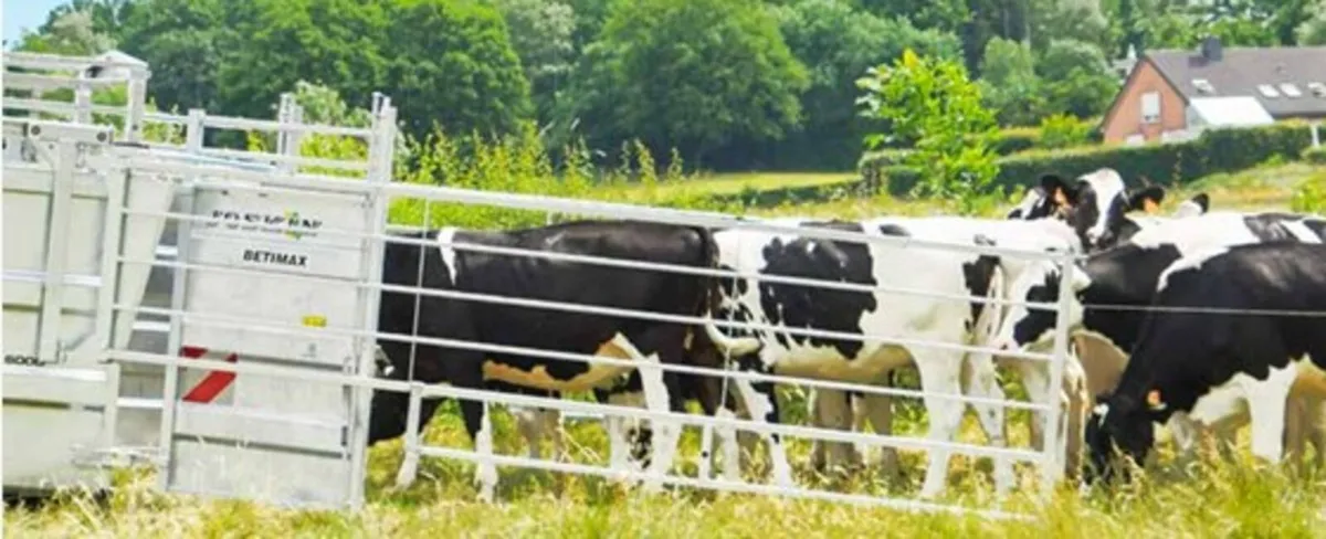 JOSKIN GALAVANISED SIDE FENCES FOR LIVESTOCK TRAIL - Image 4