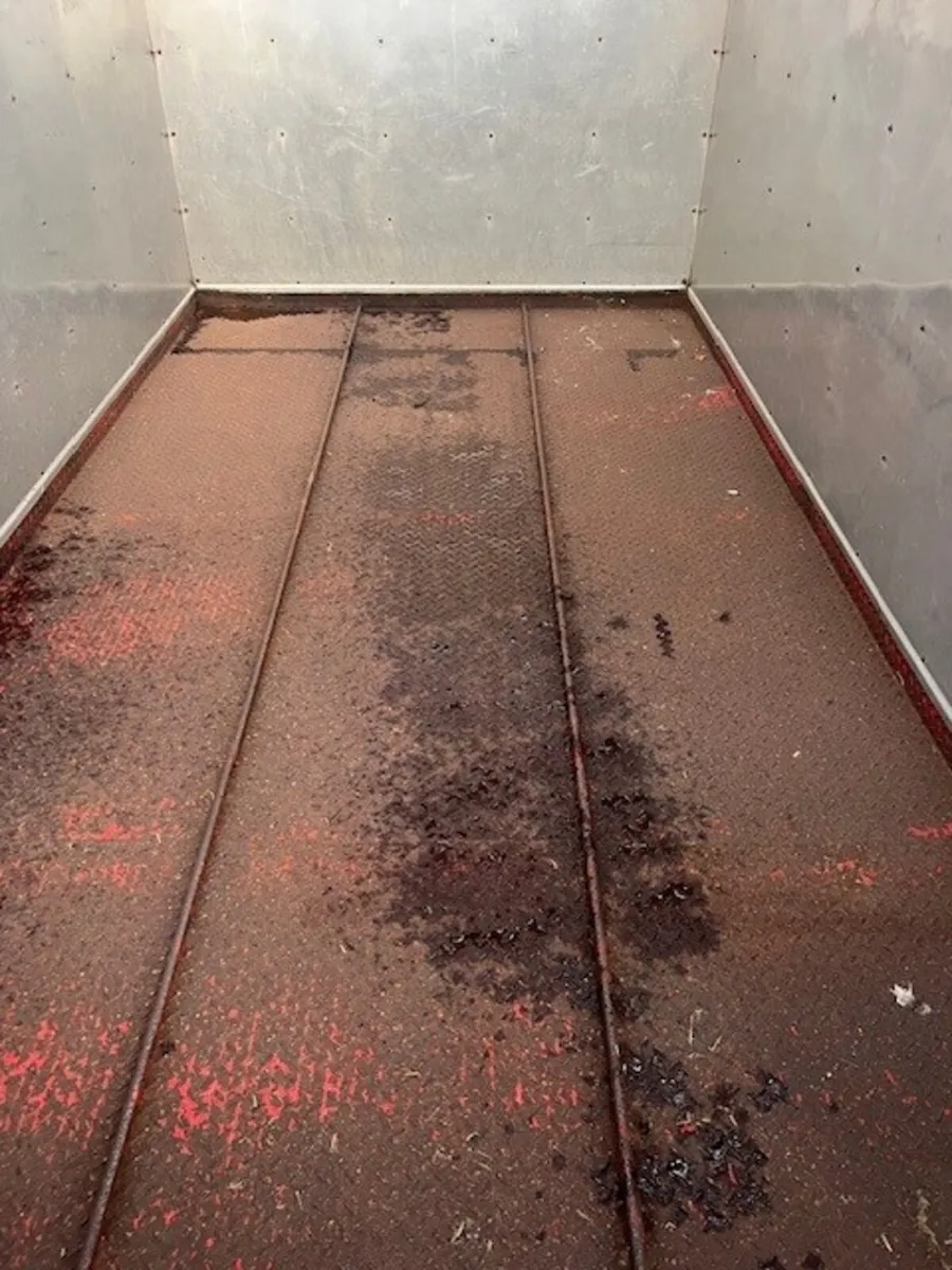 JOHNSTON 14' X 7'6" TRIPLE PURPOSE TRAILER - Image 3