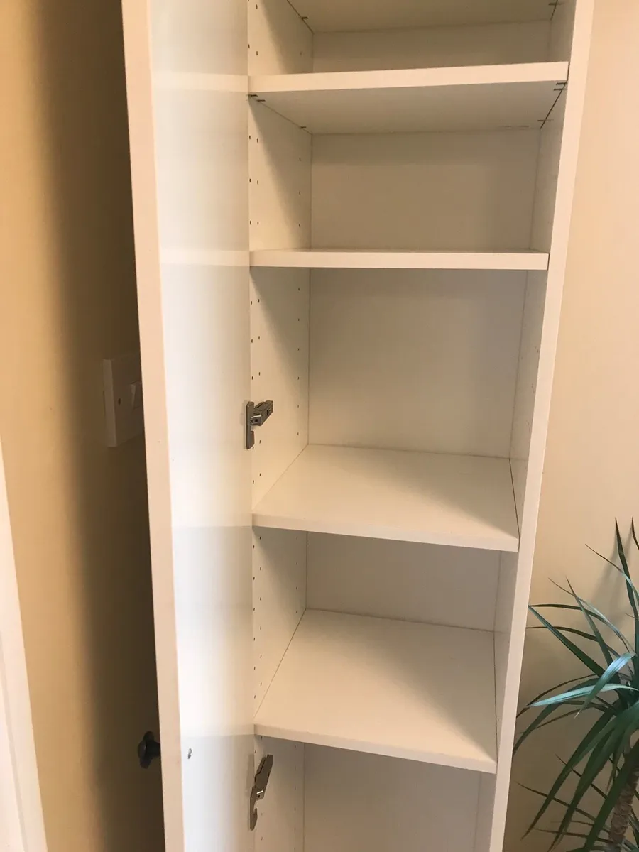 Cabinet with Door - Image 3