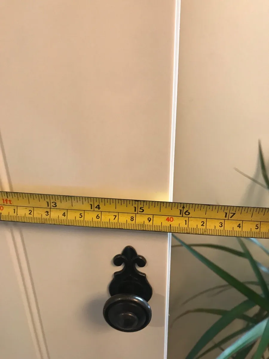 Cabinet with Door - Image 4