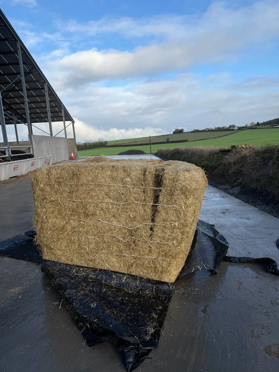 Haylage for sale - Image 1