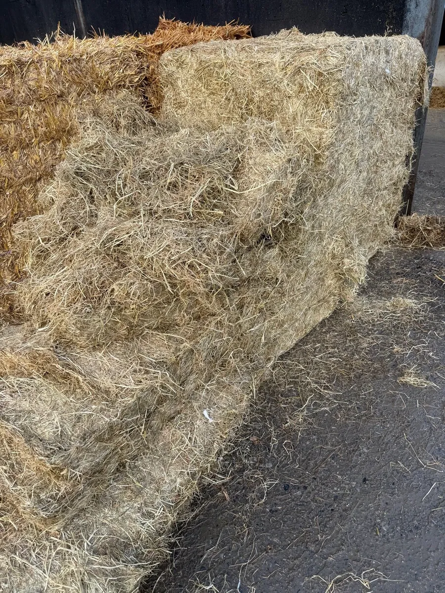 Haylage for sale - Image 2