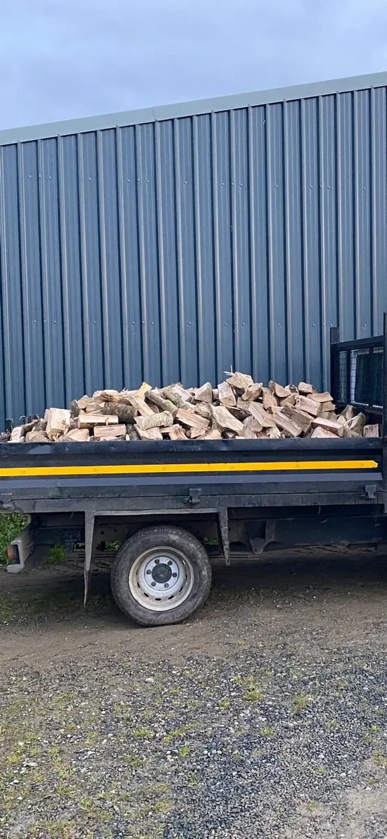 Ash Firewood - Image 1