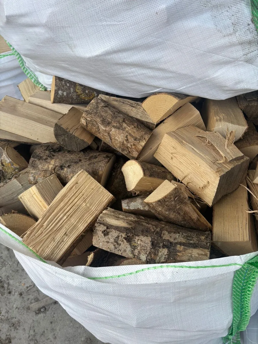 Seasoned Firewood 🪵 - Image 2