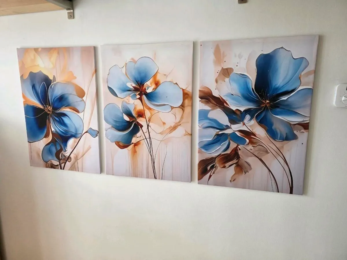 3 canvas 46cm x 67 cm each
Collection from stillor - Image 1