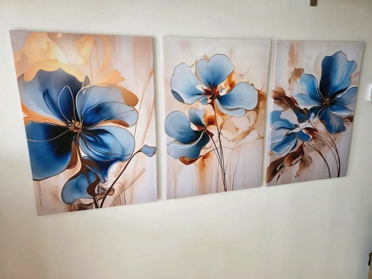 3 canvas 46cm x 67 cm each
Collection from stillor - Image 2