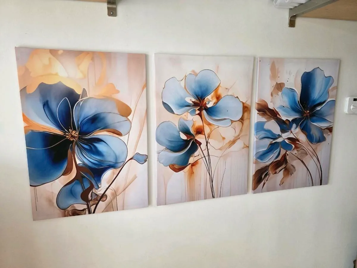 3 canvas 46cm x 67 cm each
Collection from stillor - Image 3