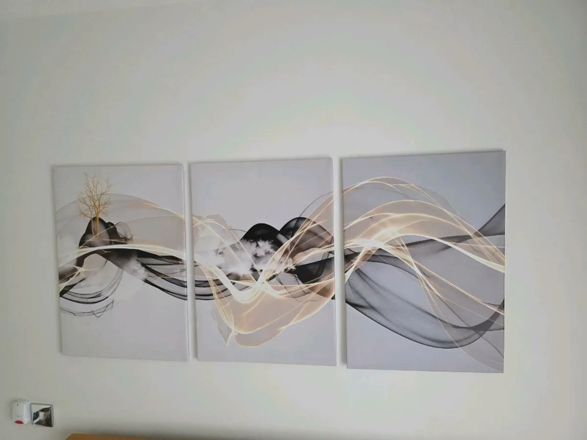 3 canvas 46cm x 67 cm each
Collection from stillor - Image 1