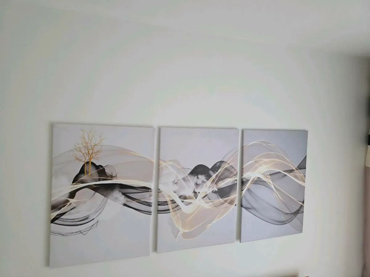 3 canvas 46cm x 67 cm each
Collection from stillor - Image 3