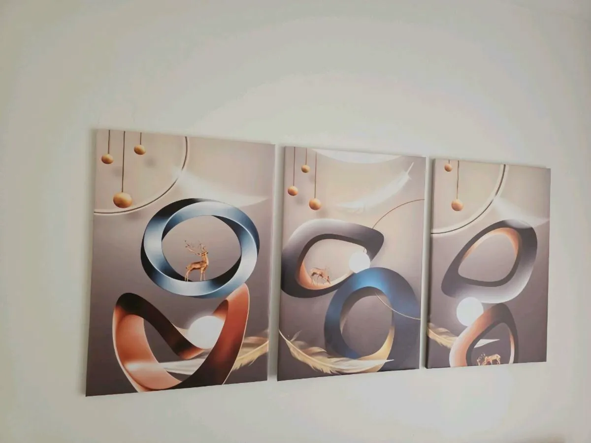 3 canvas 46cm x 67 cm each - Image 3