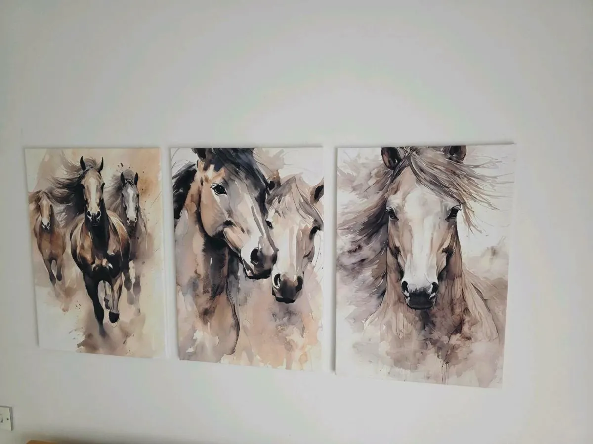 3 canvas 46cm x 67 cm each - Image 1