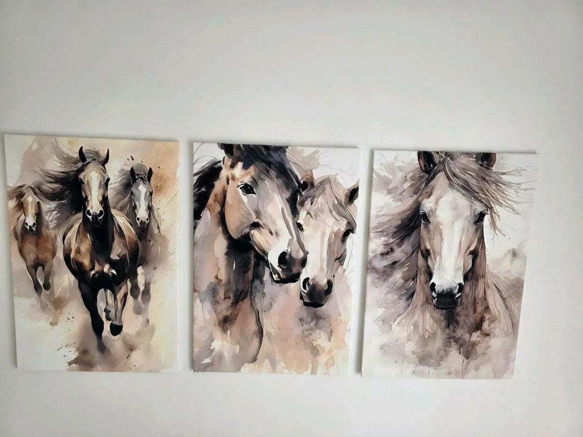 3 canvas 46cm x 67 cm each - Image 2
