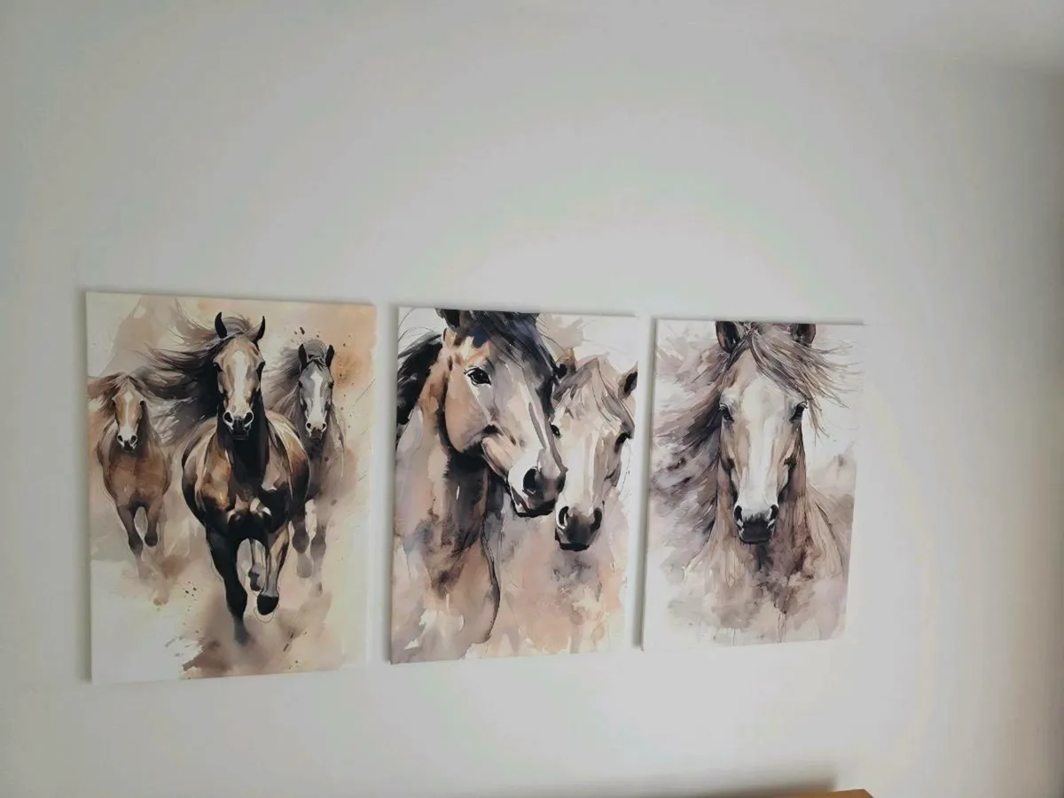 3 canvas 46cm x 67 cm each - Image 3