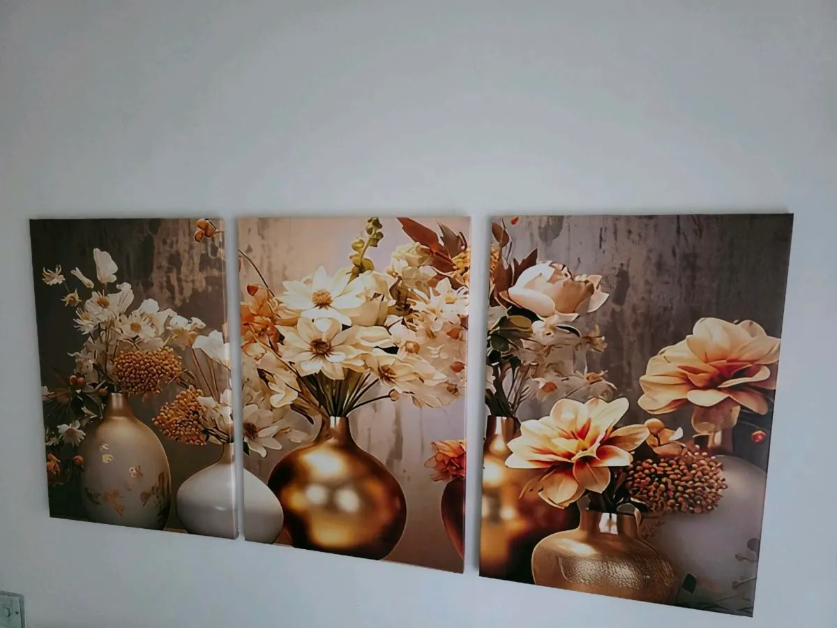 3 canvas 46cm x 67 cm each - Image 3