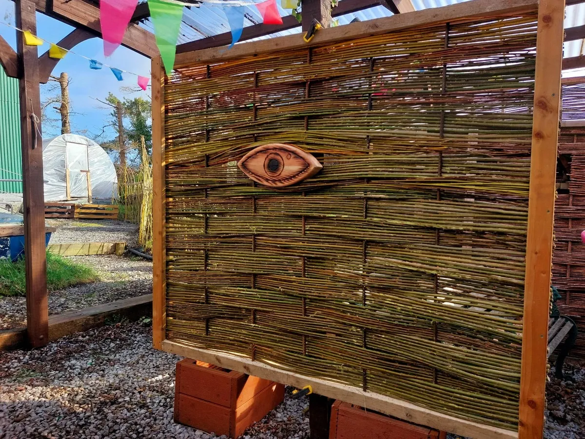 Willow Rods and Willow Cuttings - Image 3