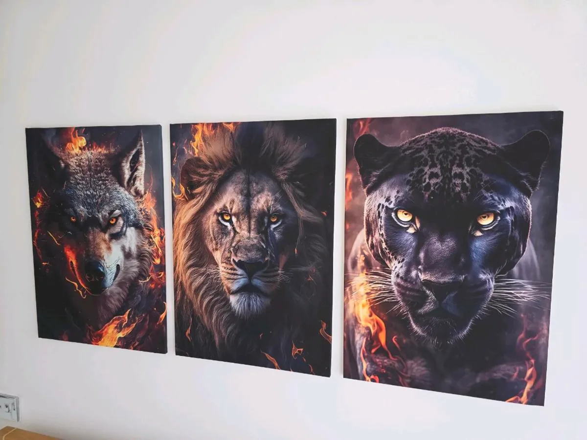 3 canvas 47cm x 67 cm each size - Image 1