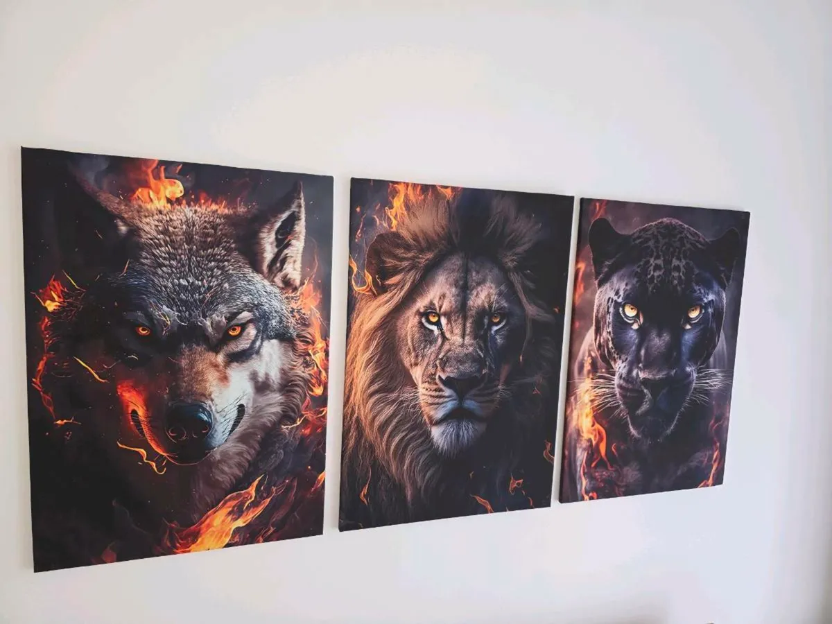 3 canvas 47cm x 67 cm each size - Image 2