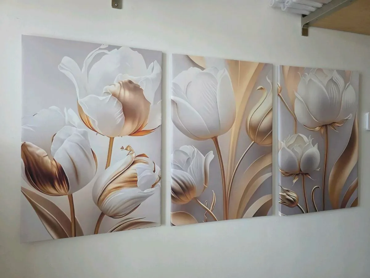 3 canvas 47 cm x 57cm - Image 1