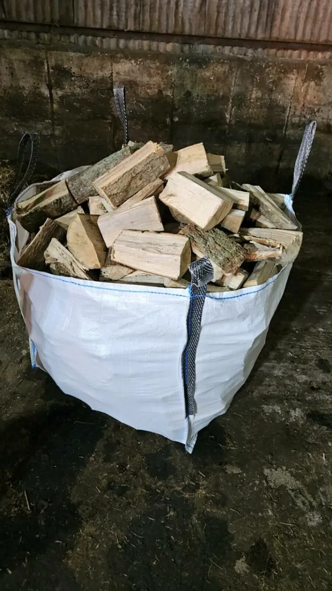 Hardwood firewood - Image 2