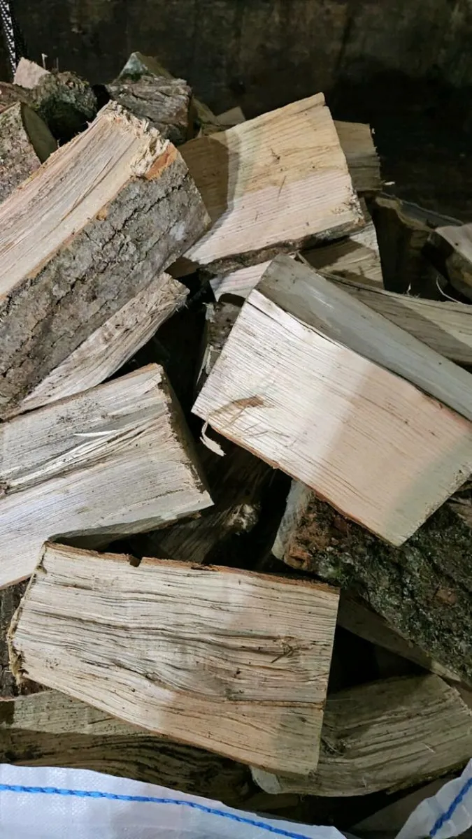 Hardwood firewood - Image 3