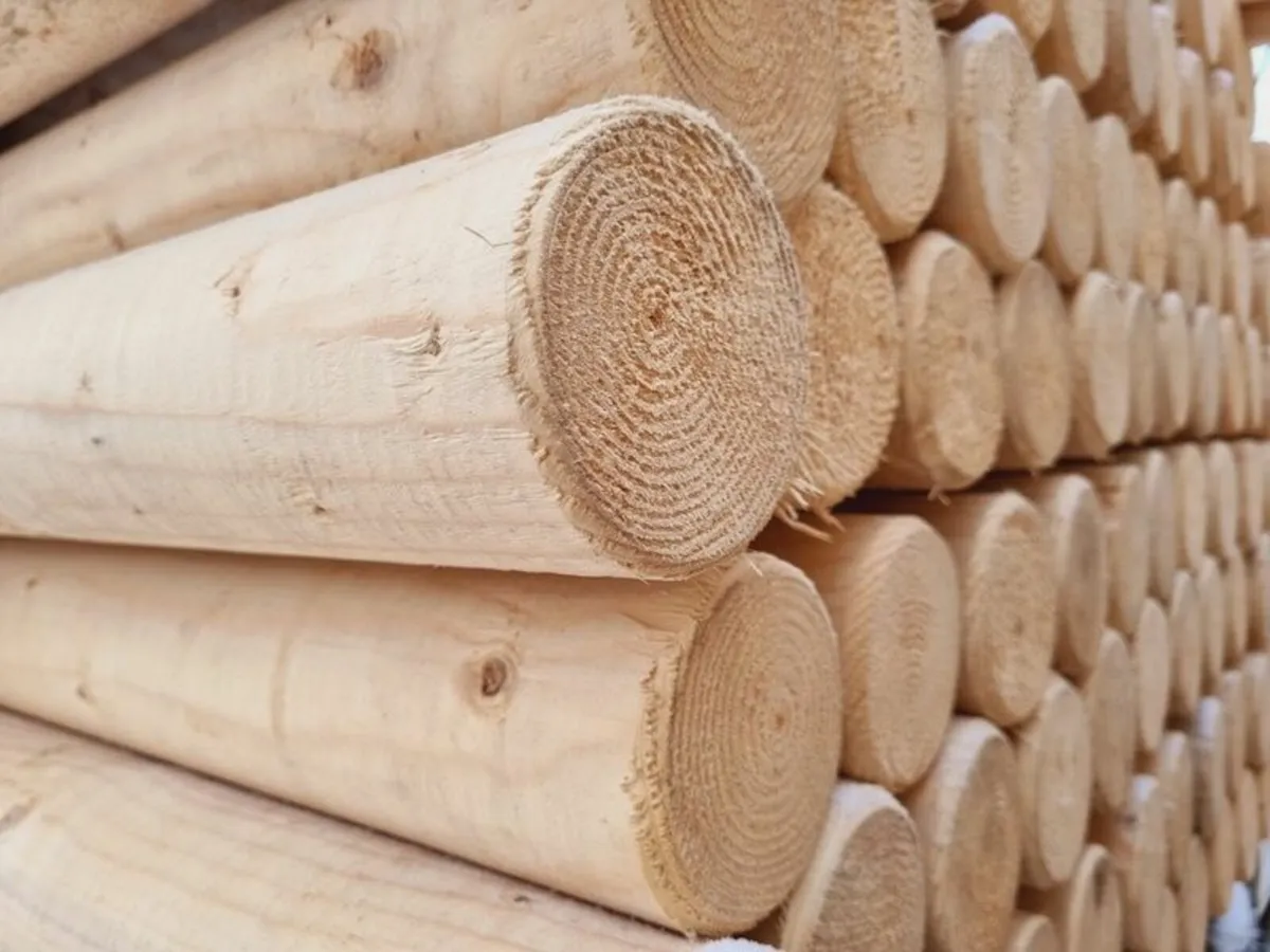 Rounded poles - Image 2