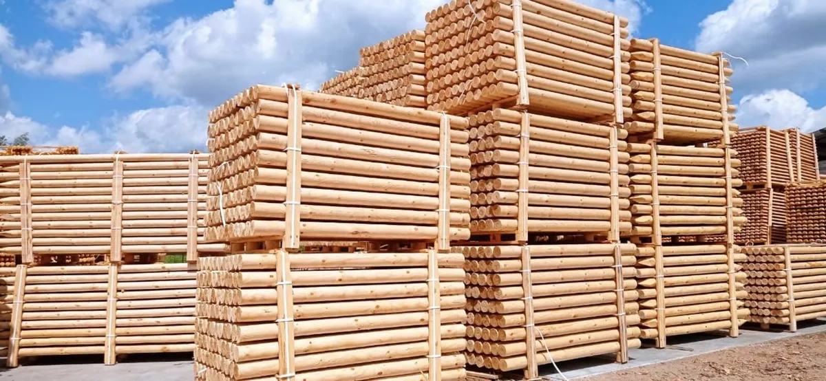 Rounded poles - Image 3