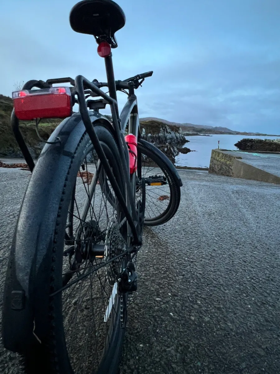 Large Trek bike - Image 3