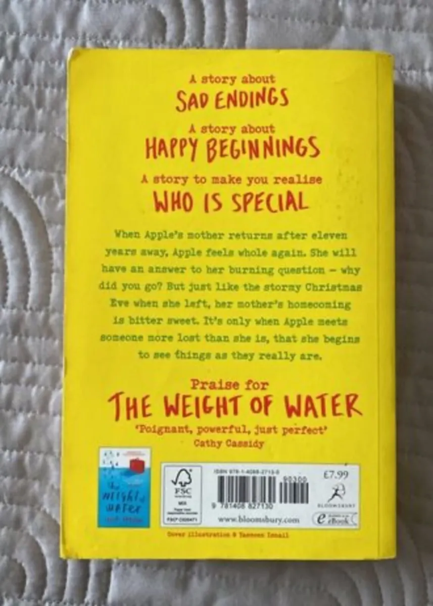 Book: Sarah Crossan: Apple and Rain - Image 2