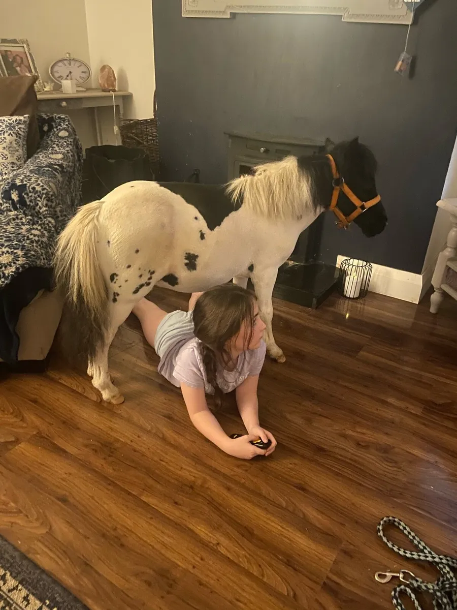 LOOK AT ❤️CUPID❤️ - Image 3