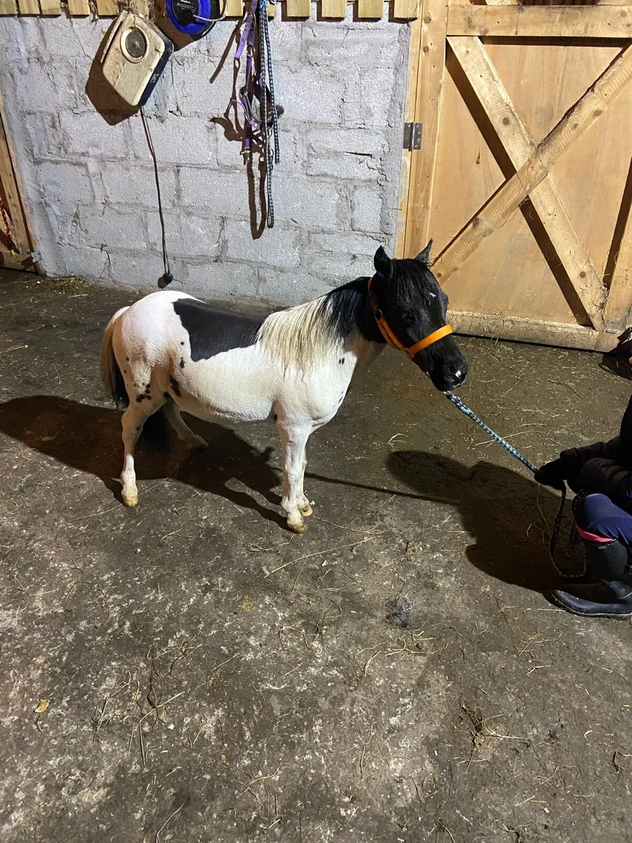 LOOK AT ❤️CUPID❤️ - Image 4