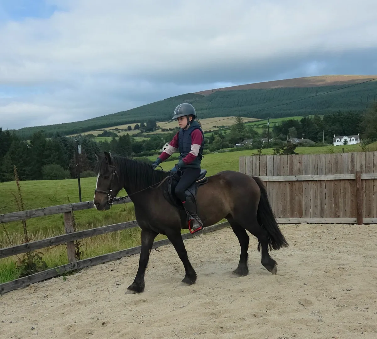 6yr old 12'2 Pony - Image 3