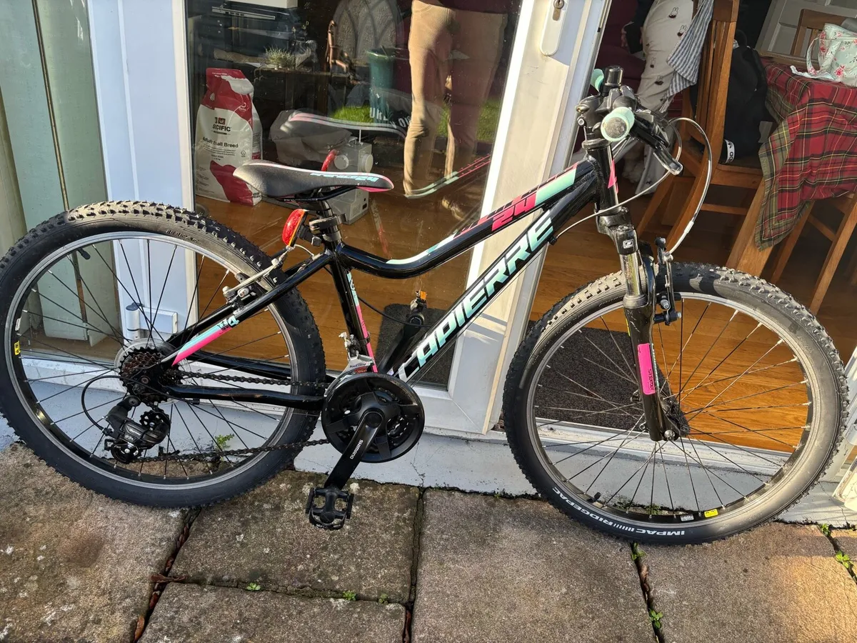 Children’s mountain bike - Image 1