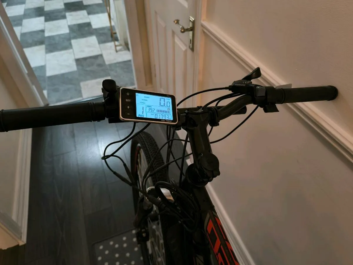 Electric Bike - Image 2