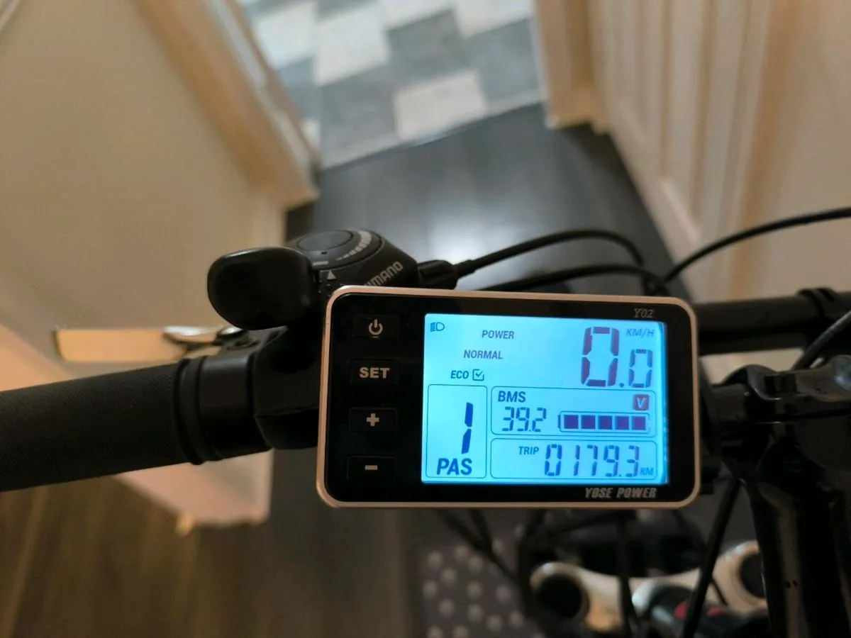 Electric Bike - Image 3