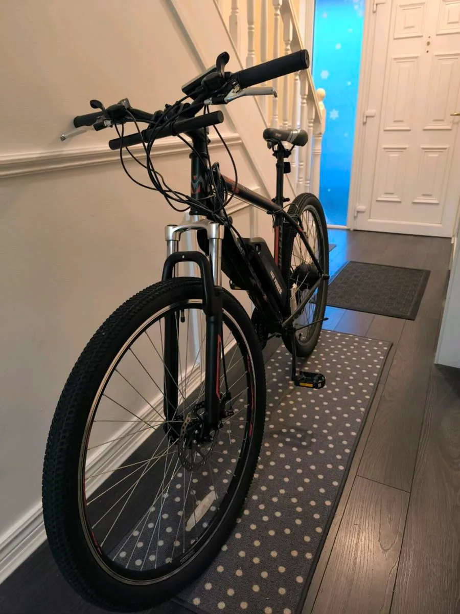 Electric Bike - Image 4