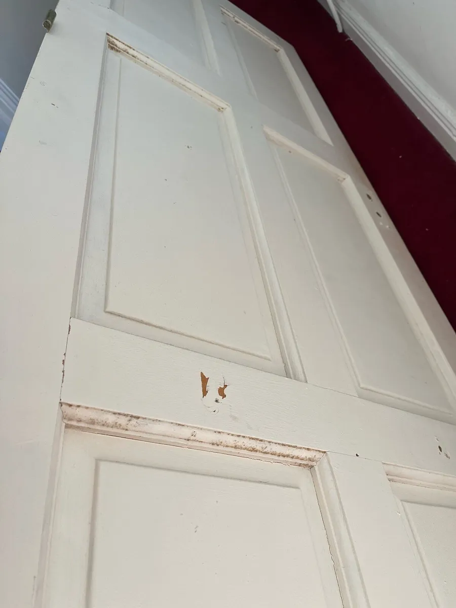 Solid door - Image 1