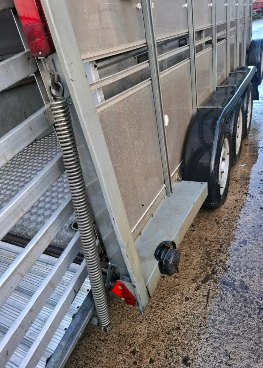 Cattle trailer 14x6 fully serviced new brakes - Image 2