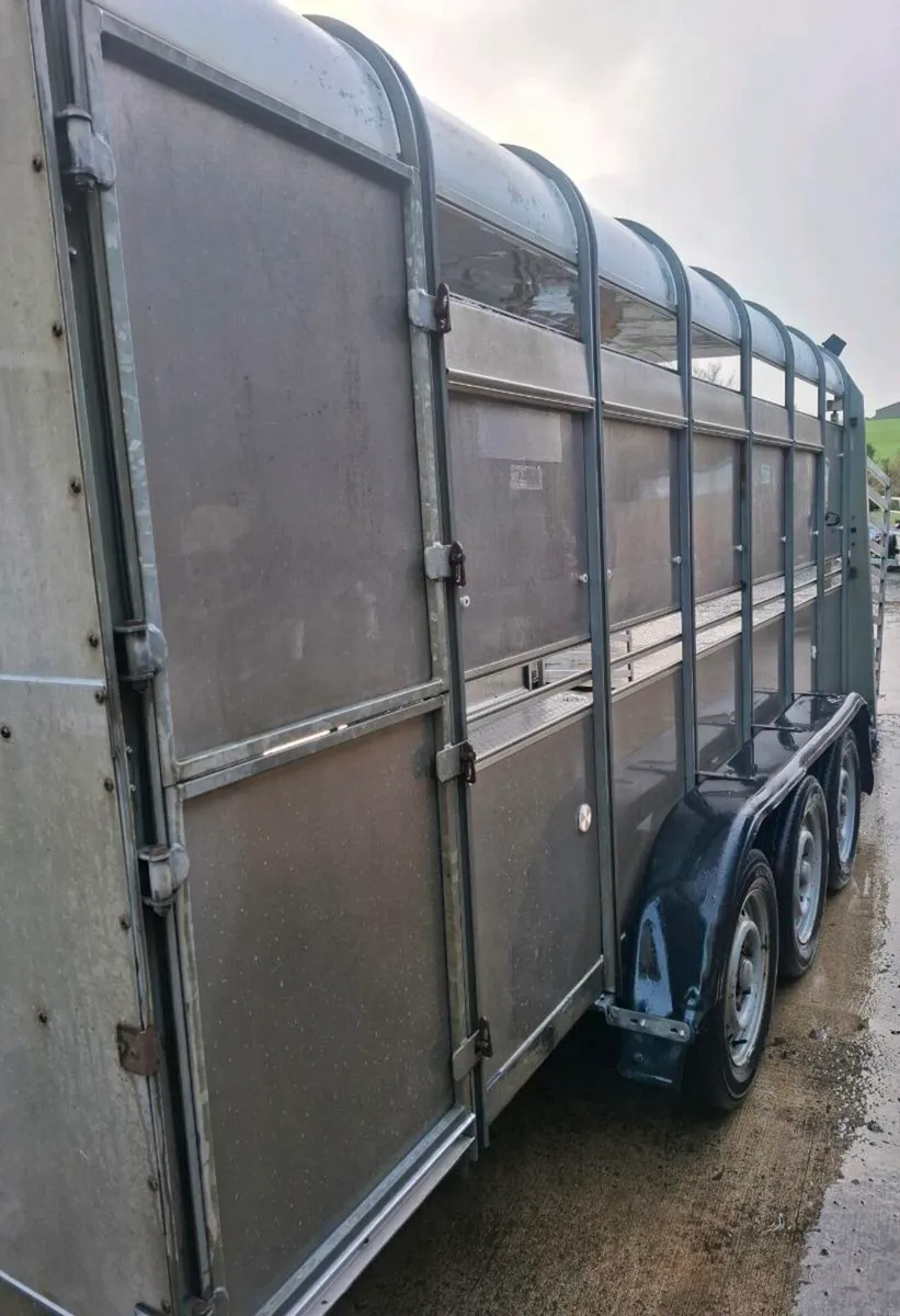 Cattle trailer 14x6 fully serviced new brakes - Image 3
