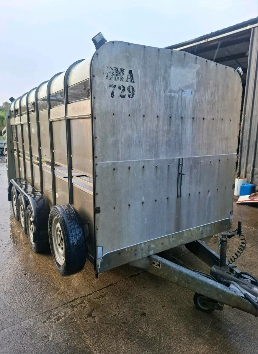 Cattle trailer 14x6 fully serviced new brakes - Image 4