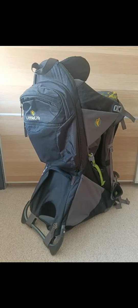 Child Carrier/backpack - Image 1