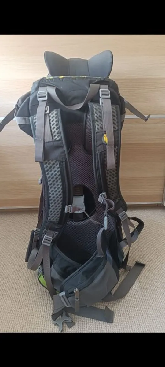 Child Carrier/backpack - Image 3