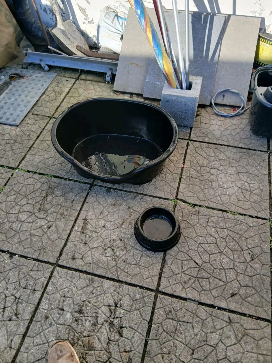 Dogs bed and food dish - Image 1