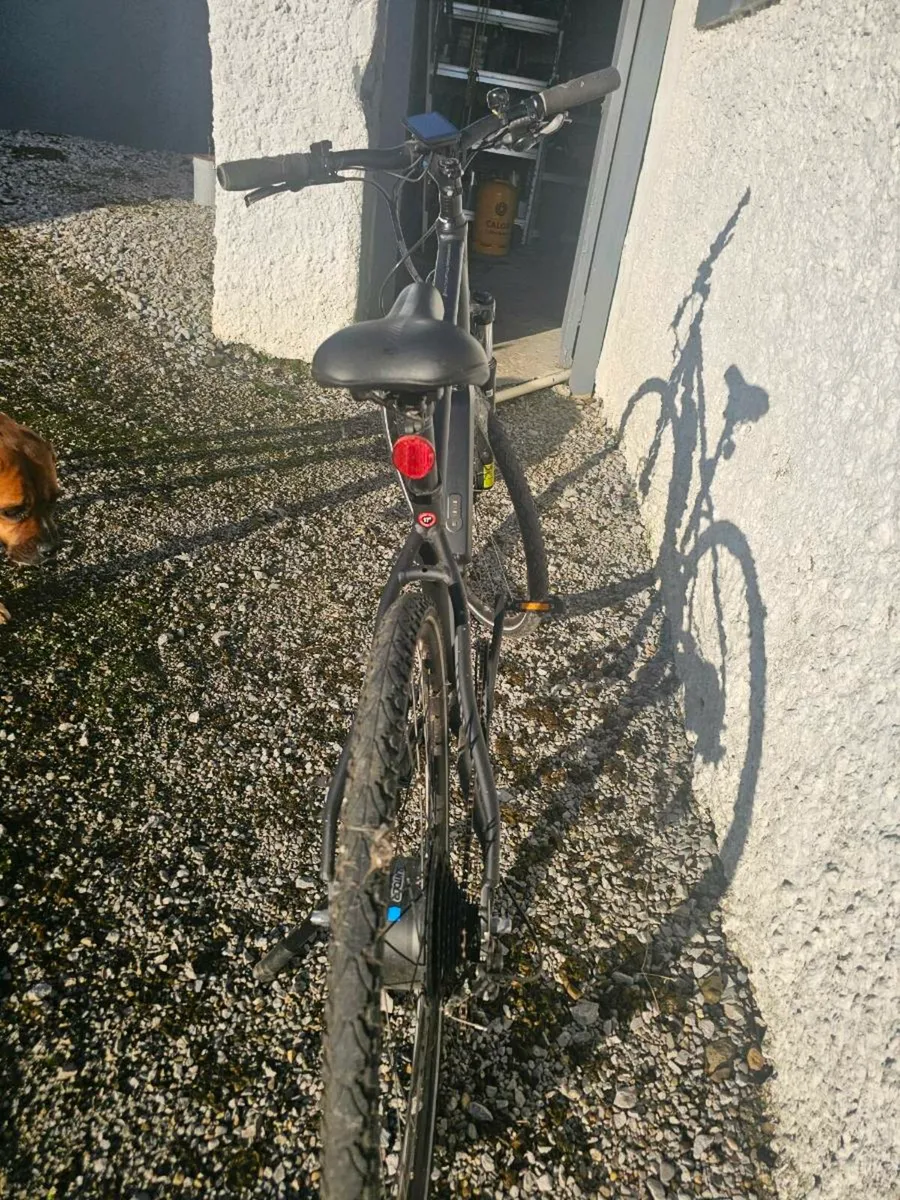 Electric Bike - Image 2