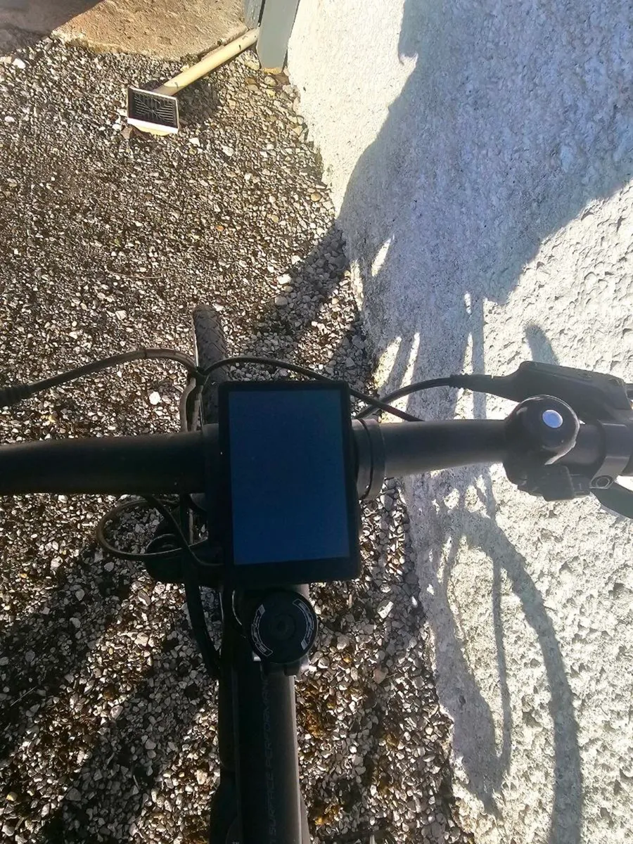 Electric Bike - Image 3