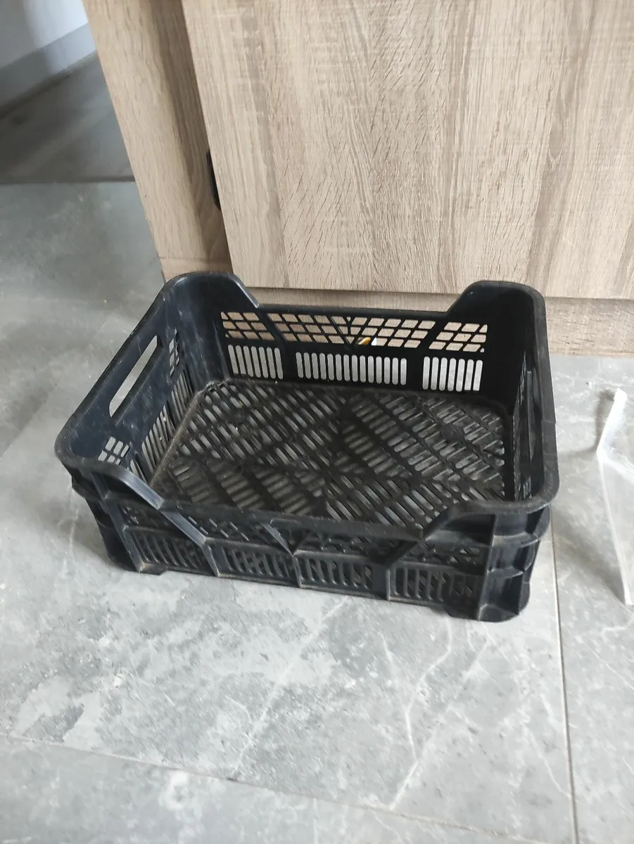 plastic crates - Image 1