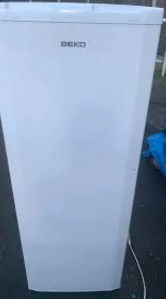 Tall standing freezer - Image 1