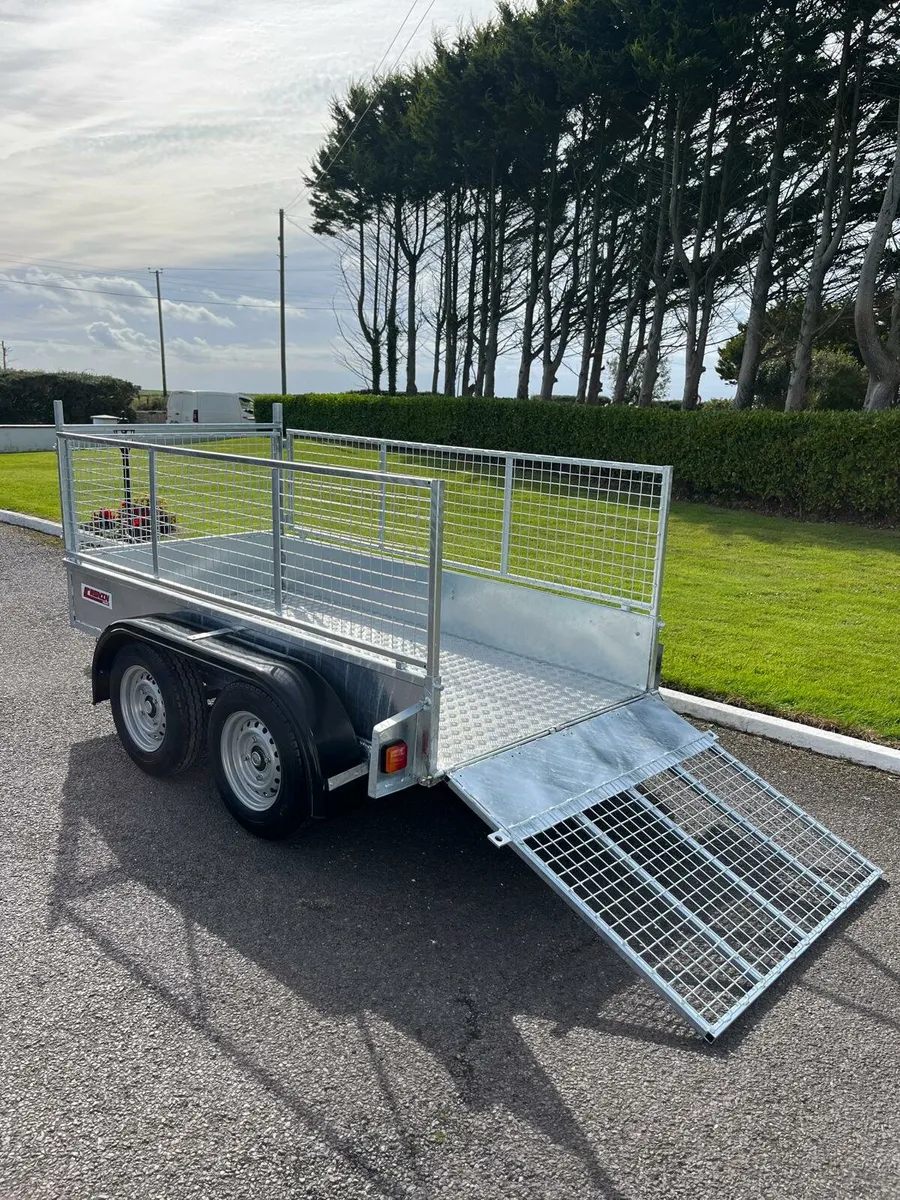 Cronin 8'2x4'2 double axle - Image 3