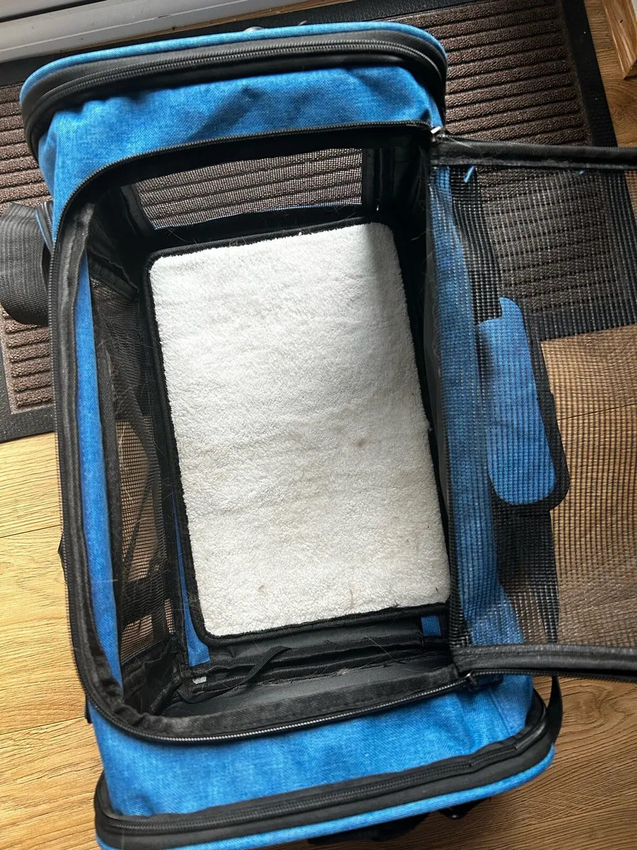 Cat Carrier - Image 1