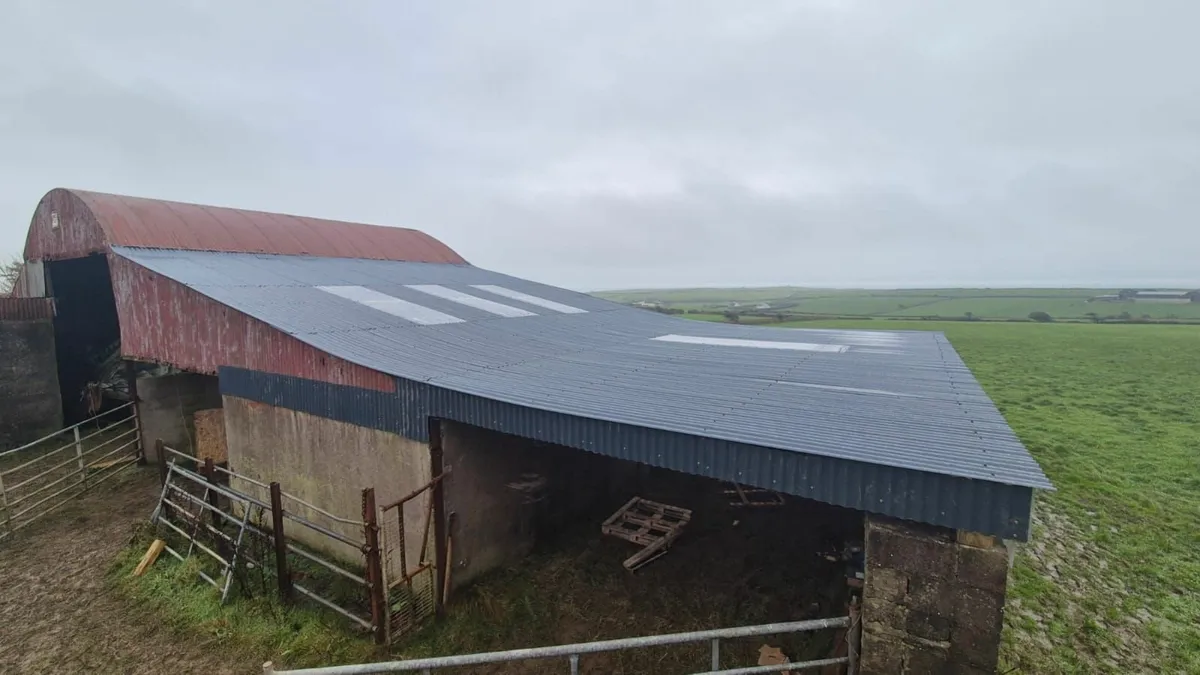 Farm shed repairs - Tipperary - Image 3
