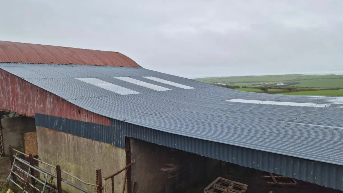 Farm shed repairs - Tipperary - Image 1